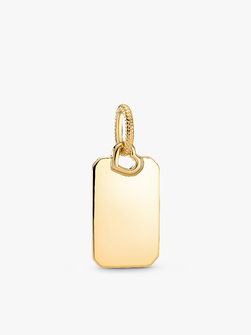 Graveerbaar Rechthoekig Plaatje Hanger