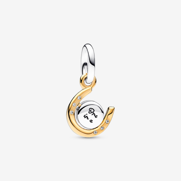 Two-tone Spinning Disc Horseshoe Dangle Charm